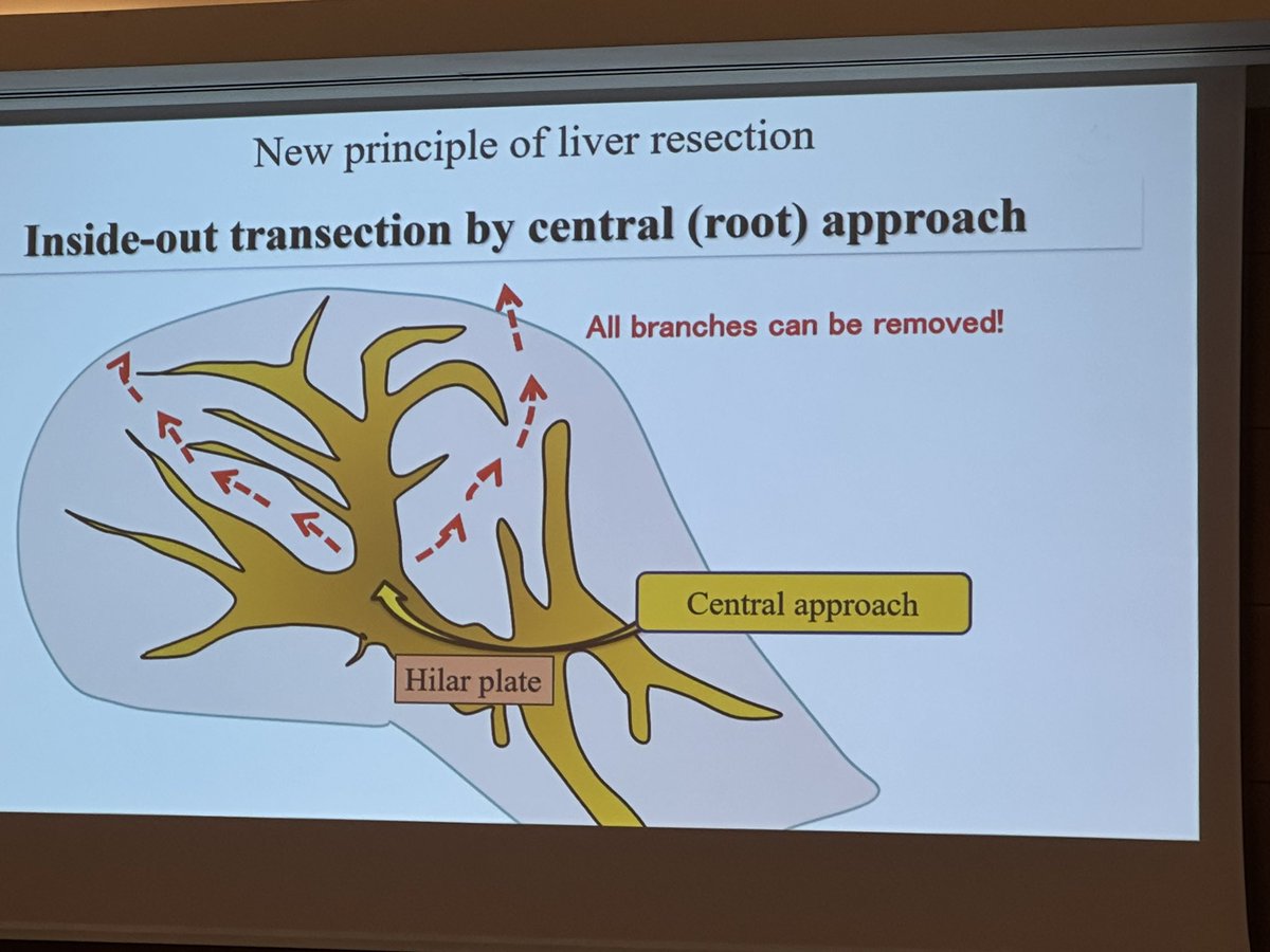 jmmor2's tweet photo. Happy to be here #Rome @ILLS_LAPLIVER learning, interacting, participating…@cgdsonespases @SonEspases @aechbp @aecirujanos @me4_so https://t.co/meAeas0FAb