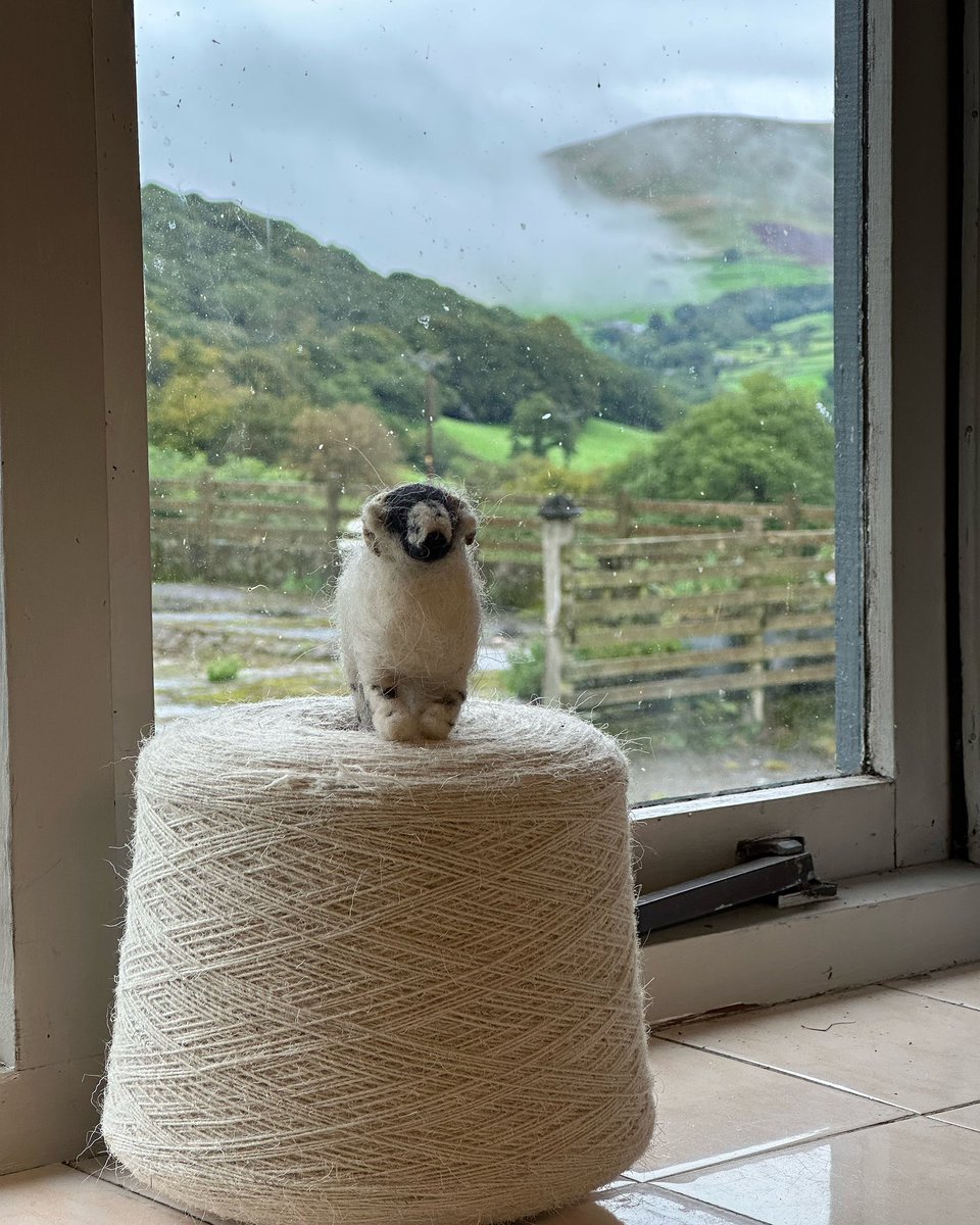 woolismybread's tweet image. Shepherdess wool yarn is back. The 2023 wool clip will now be twisted into dog leads … where’s there is wool .. there is a way 🙏🐑🐑🐑🐑🐑🐑🐑🐑🐑🐑🐑#wool #woolfarm #shepherdess