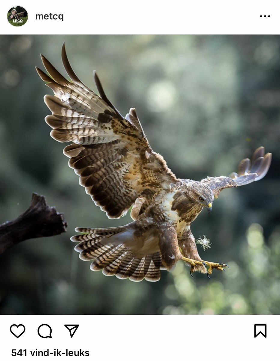 . (@mtribune) on Twitter photo Bureau-veteraan en Effievoorman Dick van der Lecq komt vandaag met een nieuwe propositie: coaching gekoppeld aan haarscherpe fotografie. marketingtribune.nl/bureaus/nieuws… <a href="/vianederland/">VIANederland</a> <a href="/DickvanderLecq/">Dick van der Lecq</a> @DDB_Worldwide <a href="/BVA/">BVA</a> Bureau-veteraan en Effievoorman Dick van der Lecq komt vandaag met een nieuwe propositie: coaching gekoppeld aan haarscherpe fotografie. marketingtribune.nl/bureaus/nieuws… <a href="/vianederland/">VIANederland</a> <a href="/DickvanderLecq/">Dick van der Lecq</a> @DDB_Worldwide <a href="/BVA/">BVA</a>