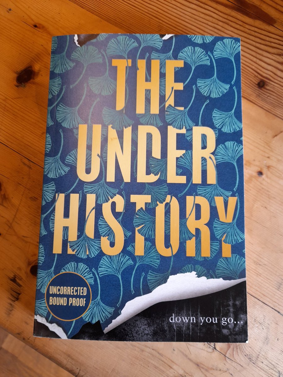 This is a remarkable tour de force of a novel from a master storyteller. The structure of the novel is innovative and the tension never flags, while Pera is an extraordinary and satisfyingly ambiguous narrator. Startlingly good. #TheUnderhistory @KaaronWarren @ViperBooks
