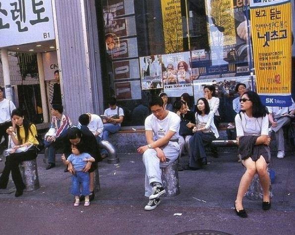 늘푸른소나무 tweet media