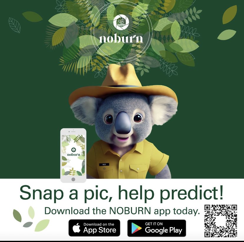 NOBURNUniSC's tweet photo. Download the NOBURN app now. https://t.co/TlcfsvI88T