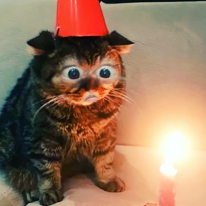 // Happy belated Birthday to silly me. 🥺

My one wish? As always-- be kind to everyone.