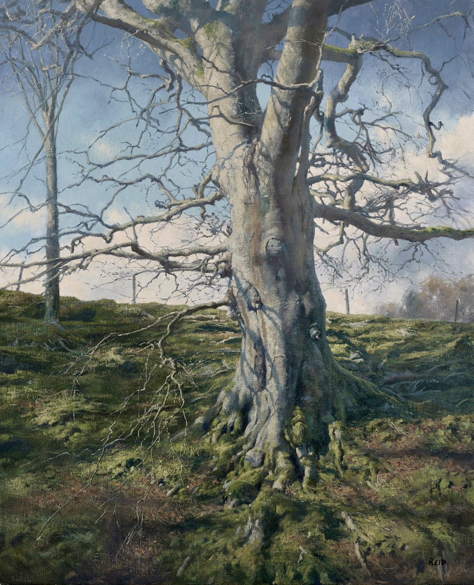GM!! Tree study, Oil on Canvas.