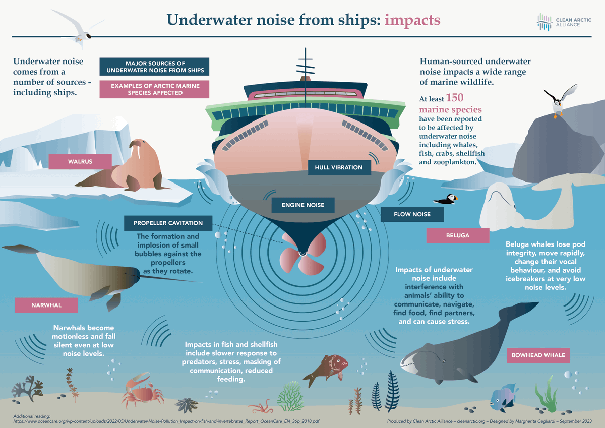 CleanArctic's tweet photo. Check out our new #infographic: Infographic: Underwater Noise From Ships 🚢🚨🐋🐳🐬🦭🐟🔊🔊🔊https://t.co/1jZyXNCdqY #underwaternoise  1/2 https://t.co/TKhYbiGWuP