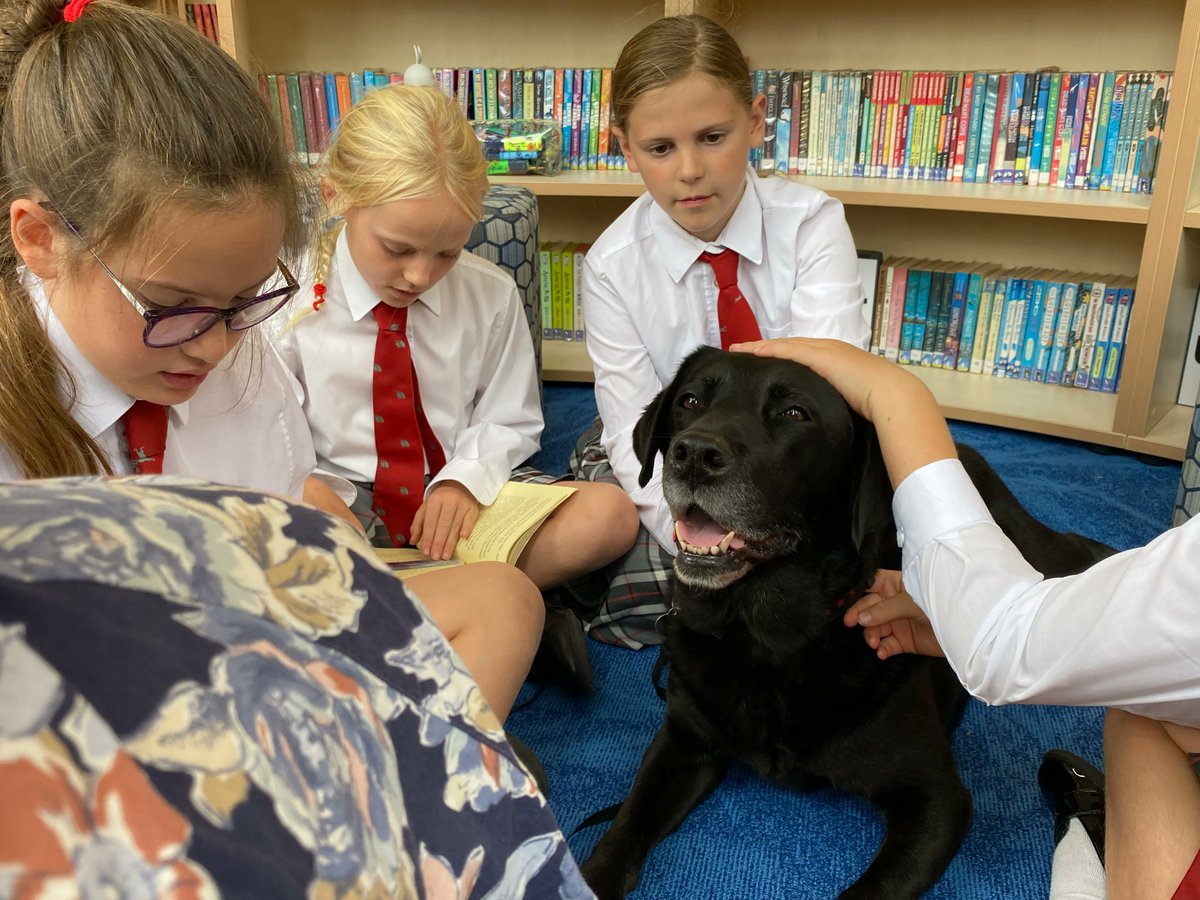 WestbourneHse's tweet photo. Once a week, the Year 5 children read out loud to Nancy, all the while stroking their furry friend. It's an ingenious initiative that helps pupils to read with more confidence. #english #literacy #reading #dogs #westbourneway #reading #bethebestyoucanbe #confidence #readingtodogs https://t.co/ENpcLGZa8F