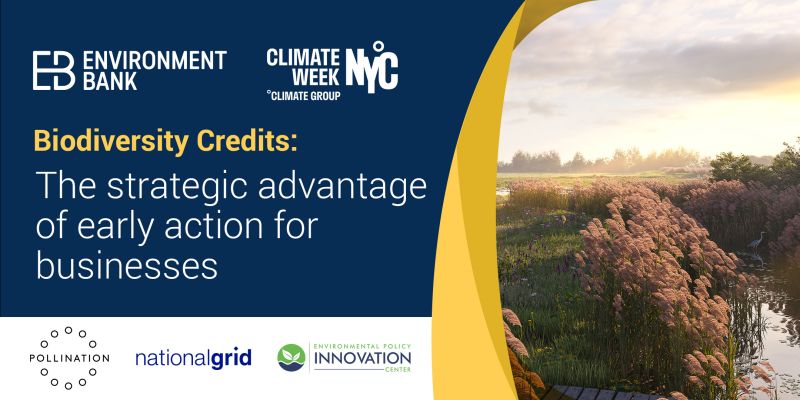 📣 #ClimateWeekNYC event! Hosted by Naomi Kerbel with biodiversity and policy experts from Pollination, Environmental Policy Innovation Center and National Grid, join us for 'Biodiversity Credits: The strategic advantage of early action for businesses'. eventbrite.co.uk/e/biodiversity…