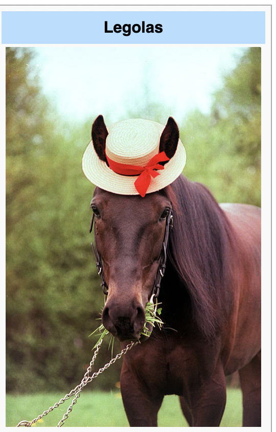 Harrius's tweet image. Hästen Legolas har kanske den mest smickrande wiki-bilden någonsin