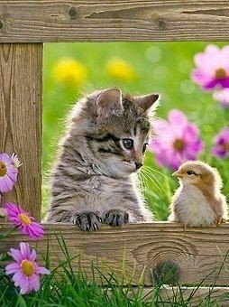 Falling in Love is like jumping off a very tall building............
Your brain tells you, 
Do not, you will die.
But your heart tells you,
Go ahead, you can fly.
🐦💐🌼🌷🌱🍀🌻🐦