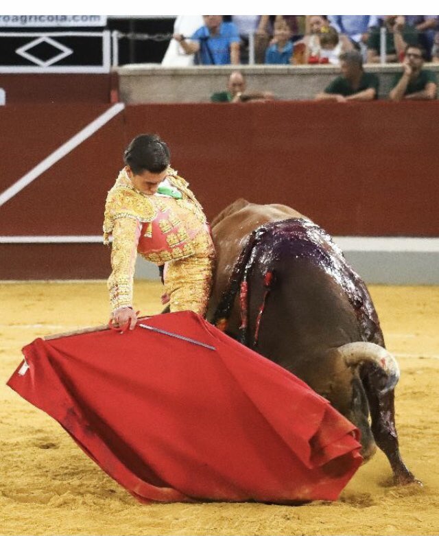 Tomas Campuzano tweet media