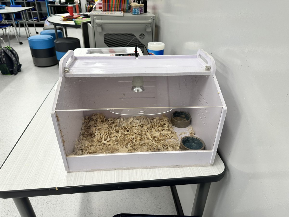 Let the hatching begin!!! Excitement is rising! We will hatch chicks school wide in the spring!!! @SunnyvaleISD  @SunnyvaleInt