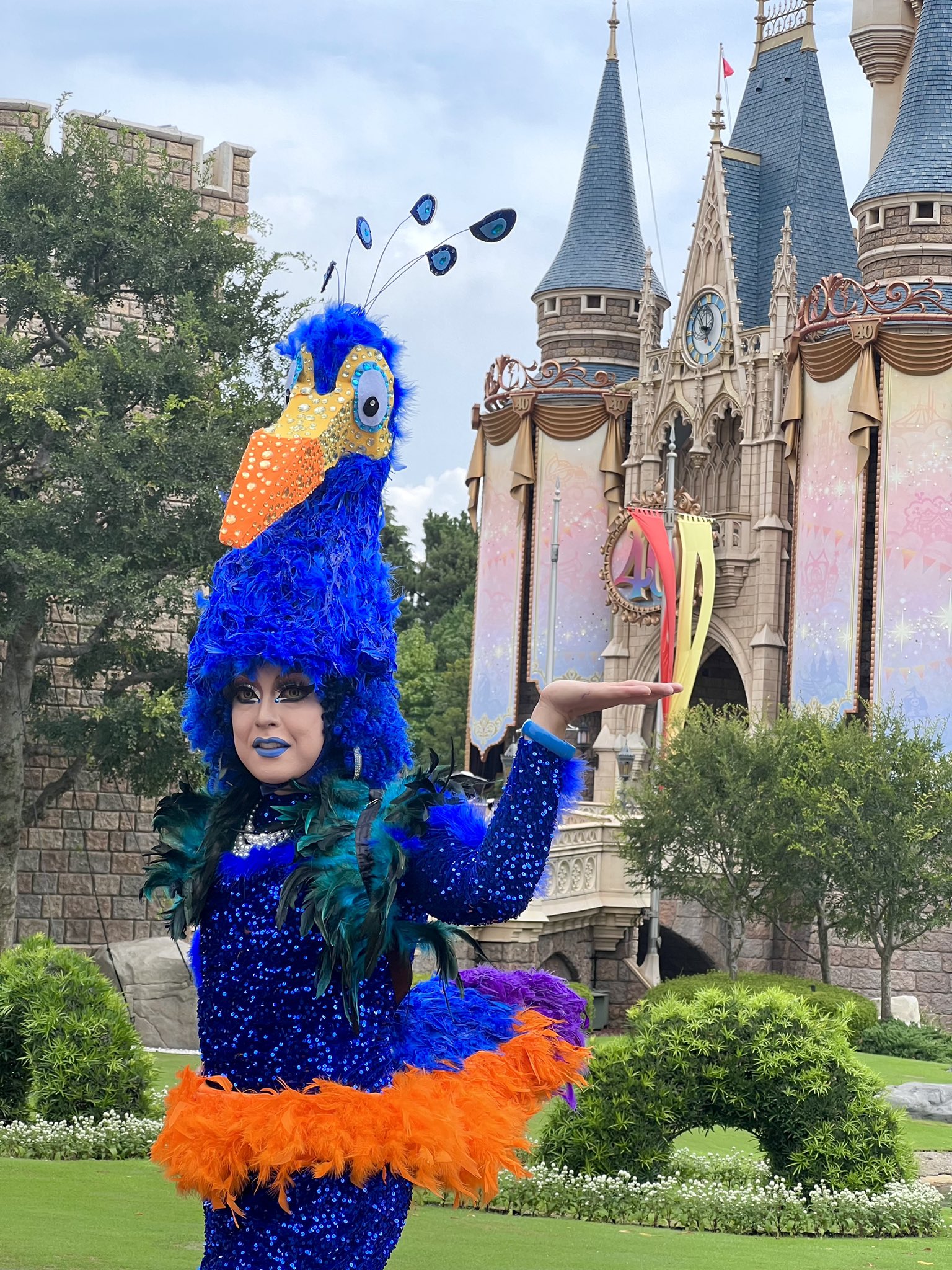 Dハロ 仮装 ハモカラ ダンサー 自然探検隊 カールじいさんの空飛ぶ家 今年はなんと、、、✨✨✨ ディズニーランドで新しく始まったパレード