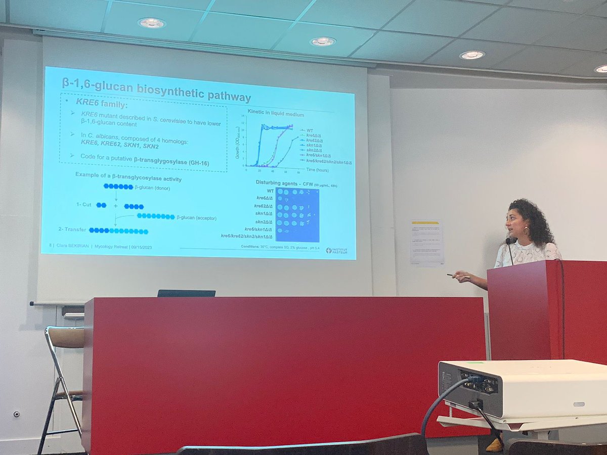 Sarah Dellière is on Bluesky 🦋 (@sarah_delliere) on Twitter photo Mycology 🍄 Department day is on at <a href="/institutpasteur/">Institut Pasteur, since 1887</a> with <a href="/bekirian_clara/">Clara BEKIRIAN</a> sharing her in-depth work on b-1,6-glucans in #Candida albicans ! 👏 Mycology 🍄 Department day is on at <a href="/institutpasteur/">Institut Pasteur, since 1887</a> with <a href="/bekirian_clara/">Clara BEKIRIAN</a> sharing her in-depth work on b-1,6-glucans in #Candida albicans ! 👏