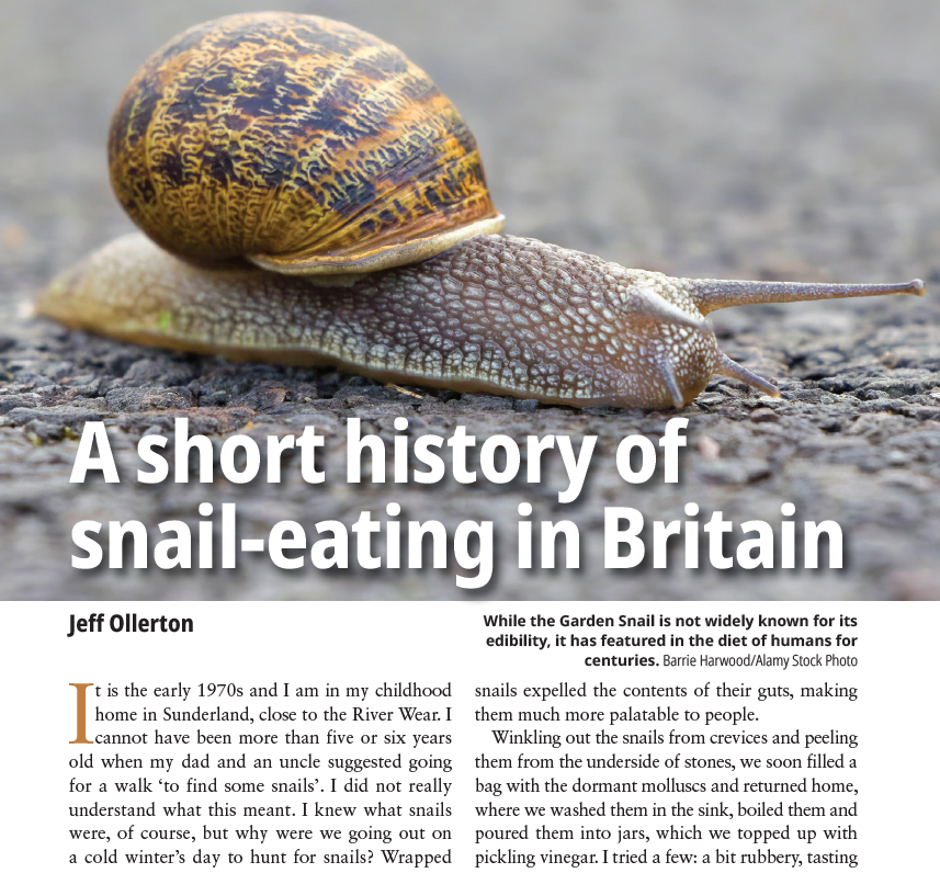 JeffOllerton's tweet photo. ‘people would need to be very weak in the head… before it would occur to them to go into the garden and eat #snails’ (Anon. 1867).

Pleased to say that my essay "A short history of snail-eating in Britain" will be in October's issue of British Wildlife magazine.

#malacology https://t.co/npCqpP8UbA