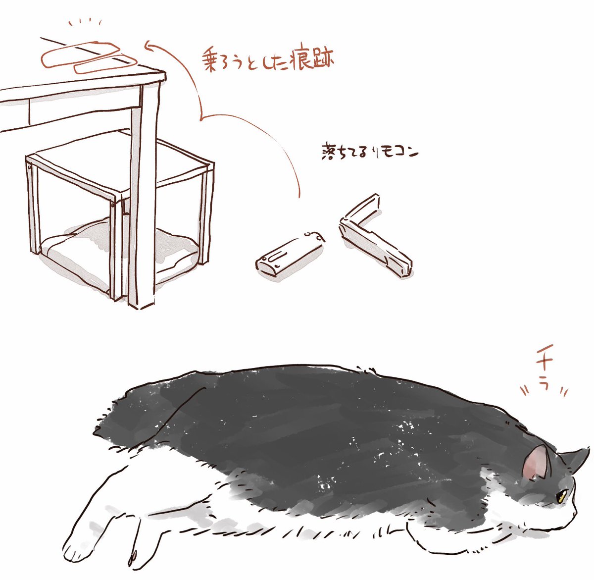 連日出かけ気味だから留守番させててごめんね… 