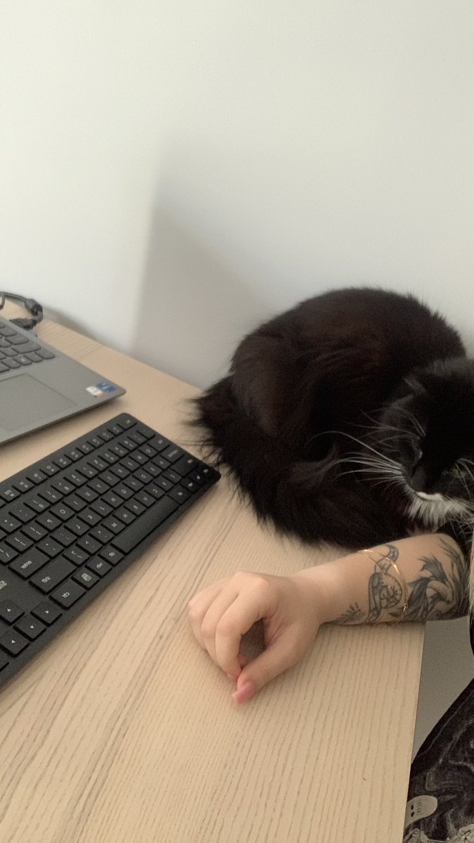 angelbububu's tweet photo. Притулився https://t.co/o1VR6Evxqp