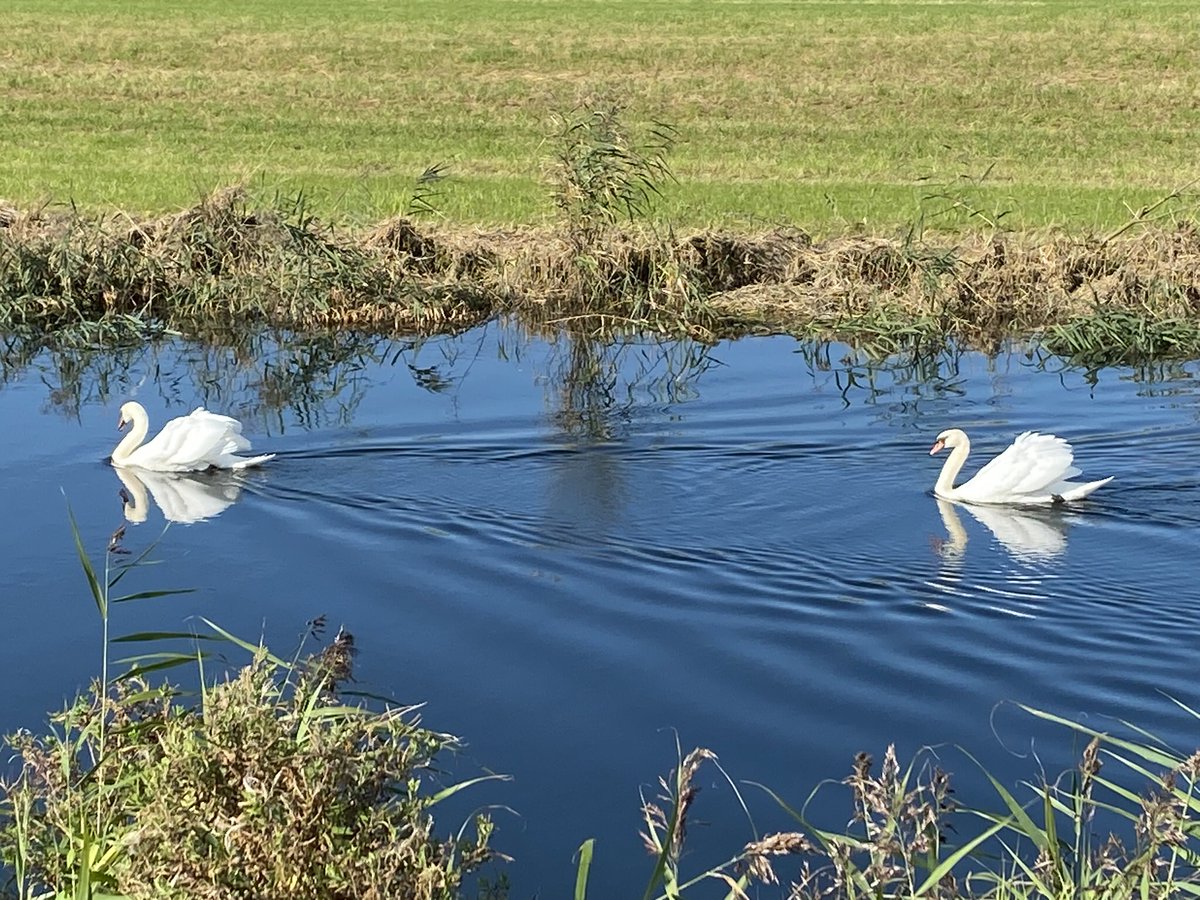 André Schoon tweet media