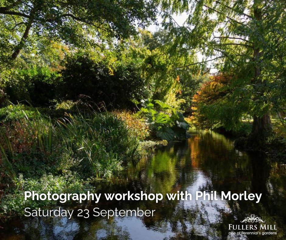 📸 Photography workshop with Phil Morley Join @PhilMorleyPhoto for his final workshop of the season at Fullers Mill on 23 September, 8-11am. Learn tips and techinques for composition on your iphone or SLR. (£20pp.) Full details: shop.perennial.org.uk/collections/ev… #PerennialsGardens