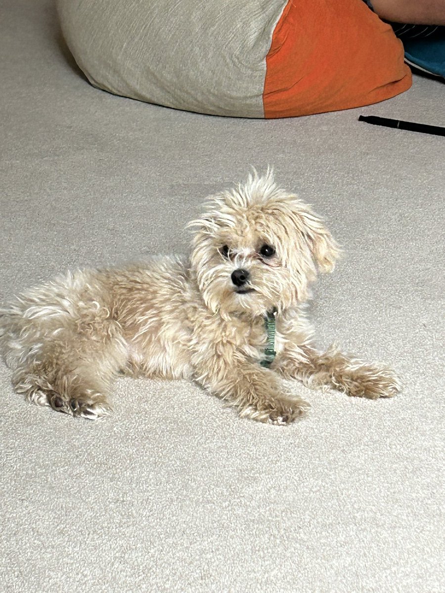 Professor Karen Douglas tweet media