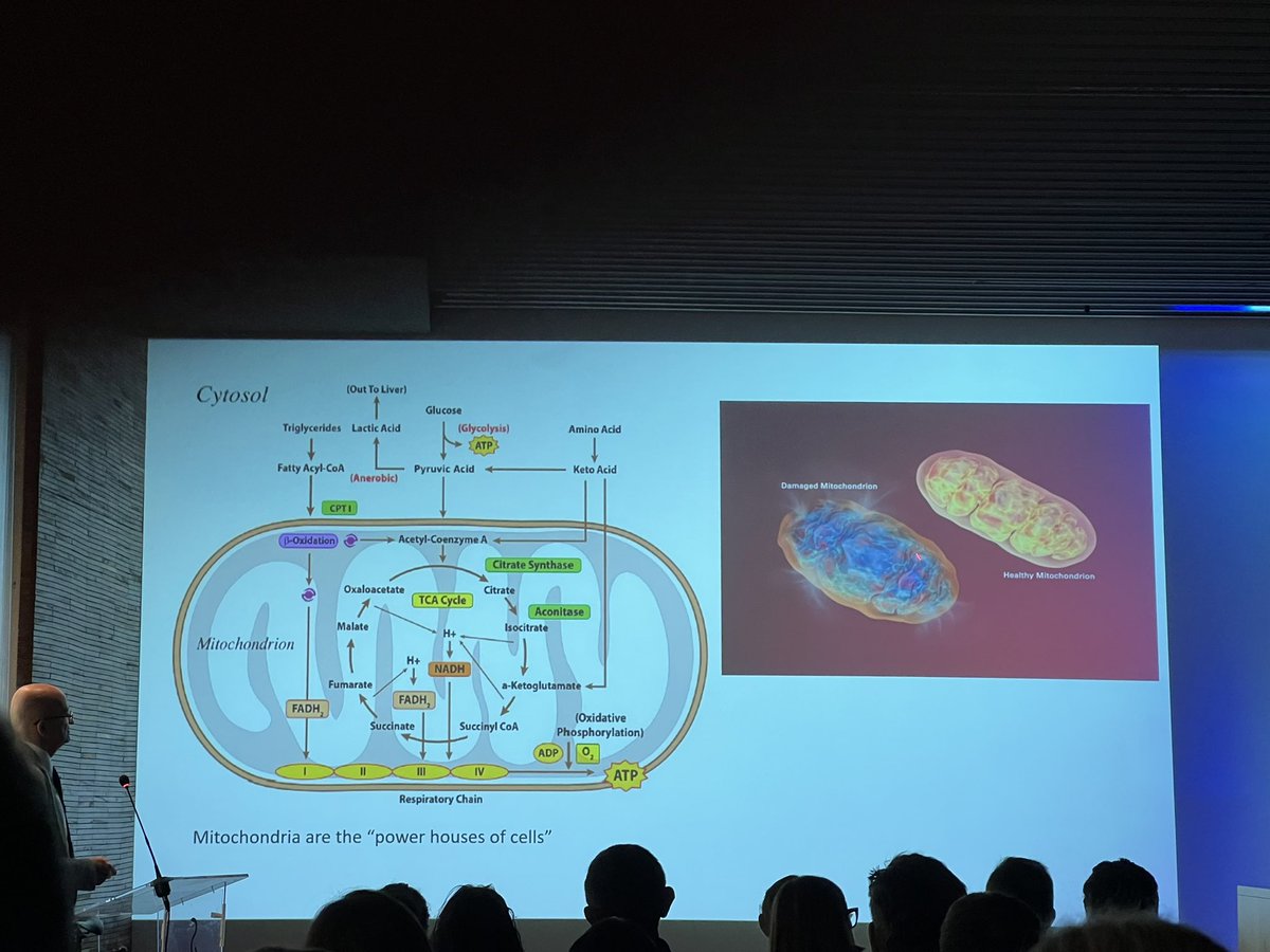 Armando Oterino Manzanas (@armandooterino) on Twitter photo 🙏Apasionante charla acerca del cardiometabolismo de la mano de <a href="/doctorinigo/">Iñigo San Millán</a> . La mitocondria, la clave de todo!!!
Comprender la base ayuda a comprender el proceso….🔝🔝 #ErgoValencia2023 🙏Apasionante charla acerca del cardiometabolismo de la mano de <a href="/doctorinigo/">Iñigo San Millán</a> . La mitocondria, la clave de todo!!!
Comprender la base ayuda a comprender el proceso….🔝🔝 #ErgoValencia2023
