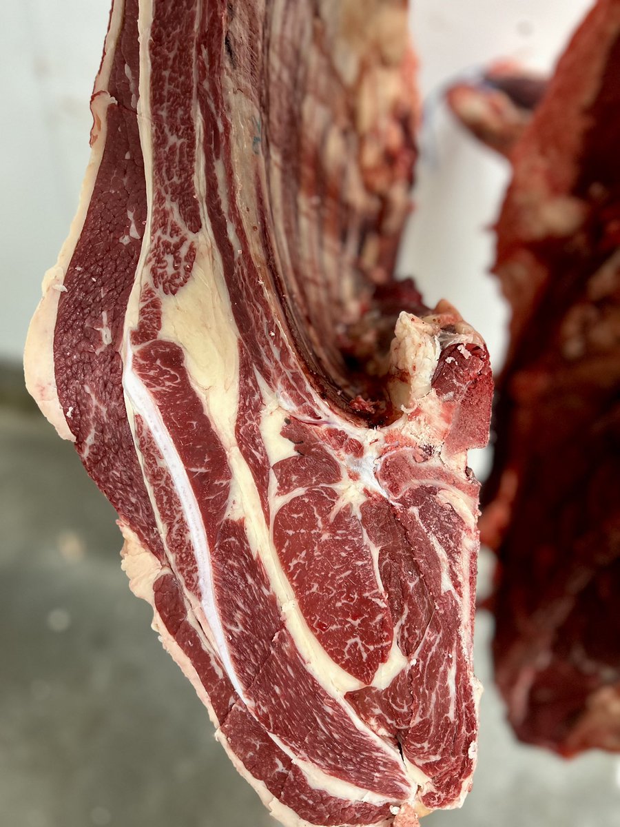 The Wagyu is in!

Look at the amazing Wagyu that we have just got in. 

Make sure you are quick with this one! Contact us now to make sure you get some of this action 📲

#macduffbeef #macduff1890 #wagyu #wholesalebeef