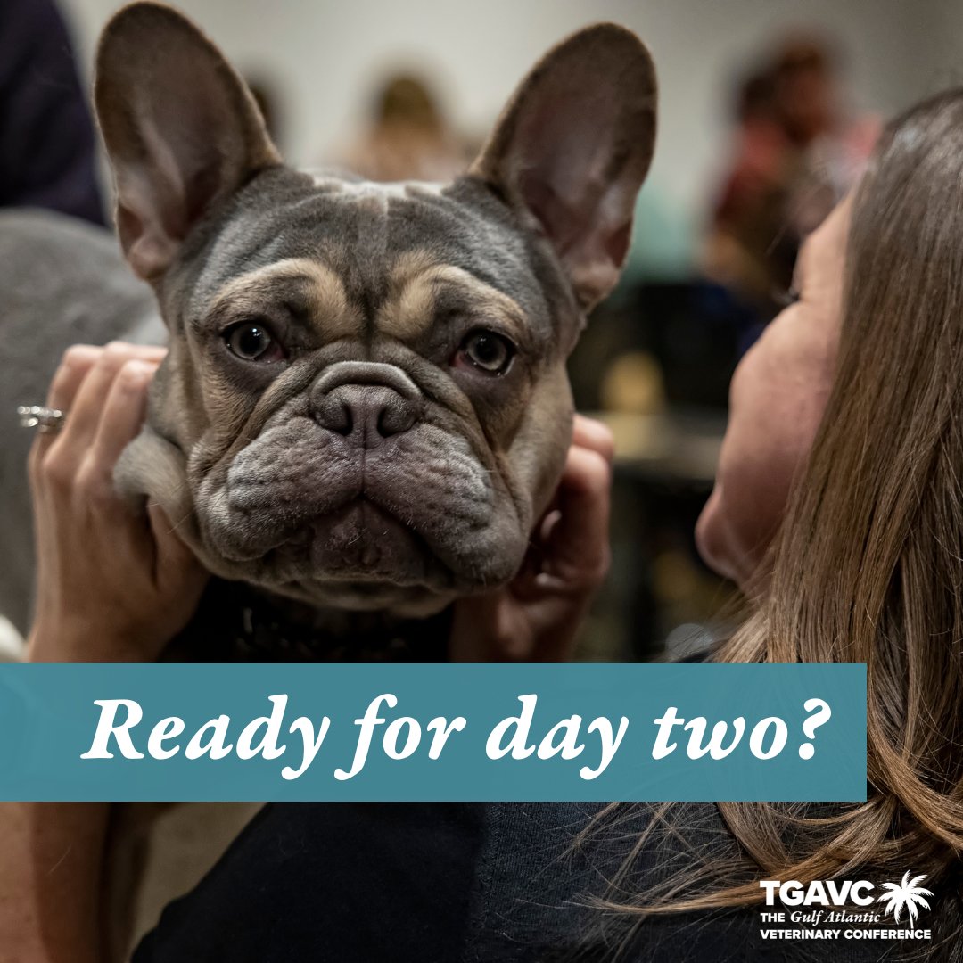 TGAVConference's tweet photo. Bringing you lecture sessions, more wet labs, and our exciting Exhibit Hall, TGAVC 2023 returns for day two! 🐶

Don't miss out on our Welcome Reception starting at 6 p.m. tonight in the Exhibit Hall!

#veterinary #tgavc2023 #vetmed https://t.co/4wG6JJQCIA