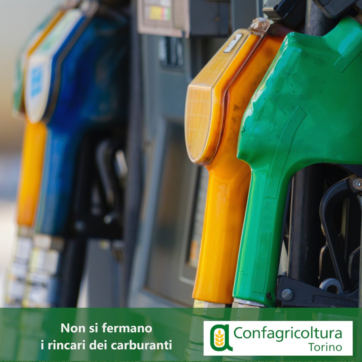 ⛽️ Non si fermano i rincari dei carburanti

📈Aumentato di 0,20 euro/l in appena quindici giorni

📲 confagricolturatorino.it/notizia.asp?id…

#rincari #carburante #agricolturaitaliana #raccolta #gasolio #aumenti #costi