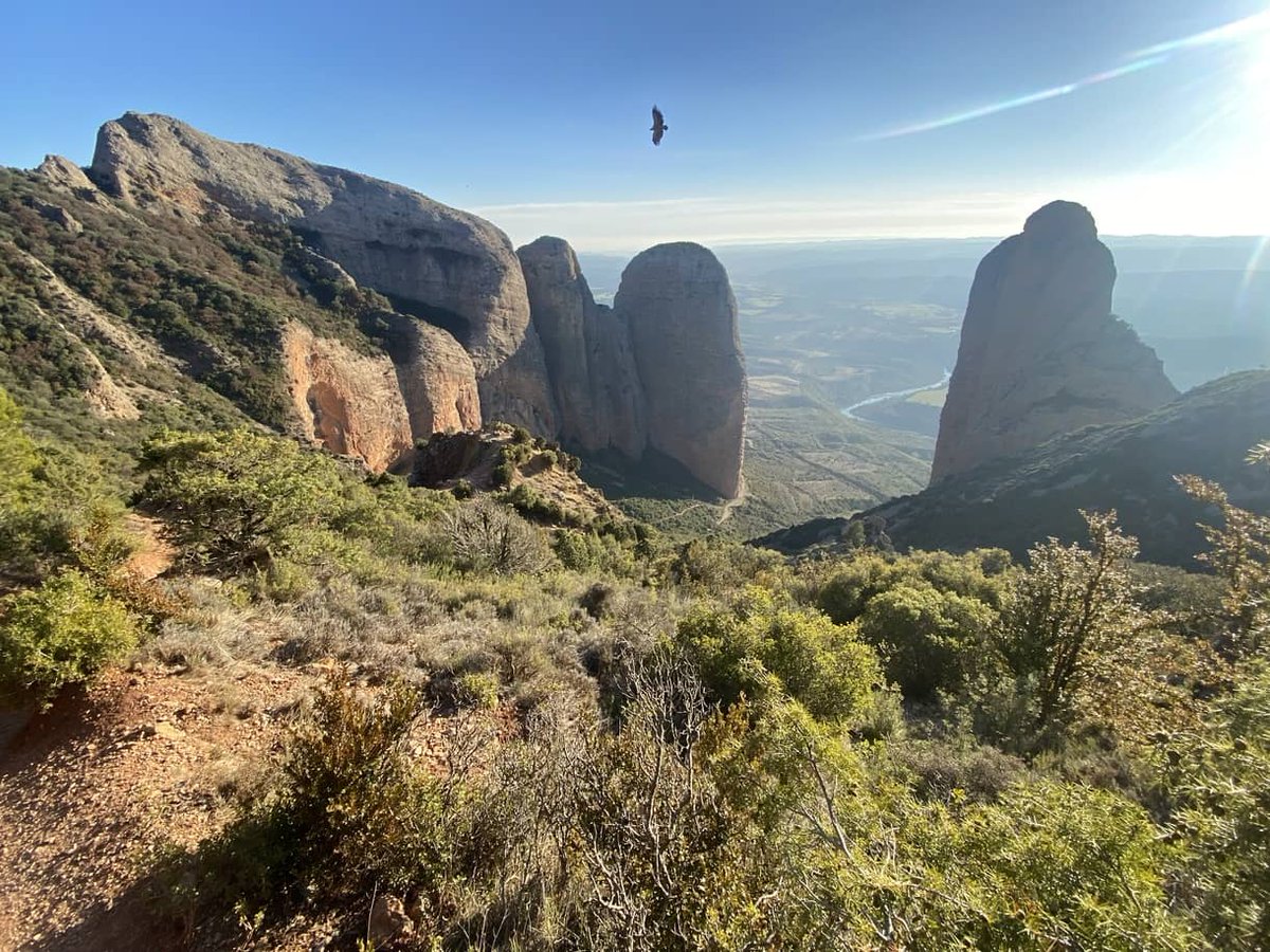 Recorriendo la ruta circular de los Mallos de Riglos, camino del cielo con unas vistas espectaculares.
ow.ly/TuRm50PLqxo  Vía <a href="/yendoporlavida/">Yendo por la vida</a> 
#AragónTurismo