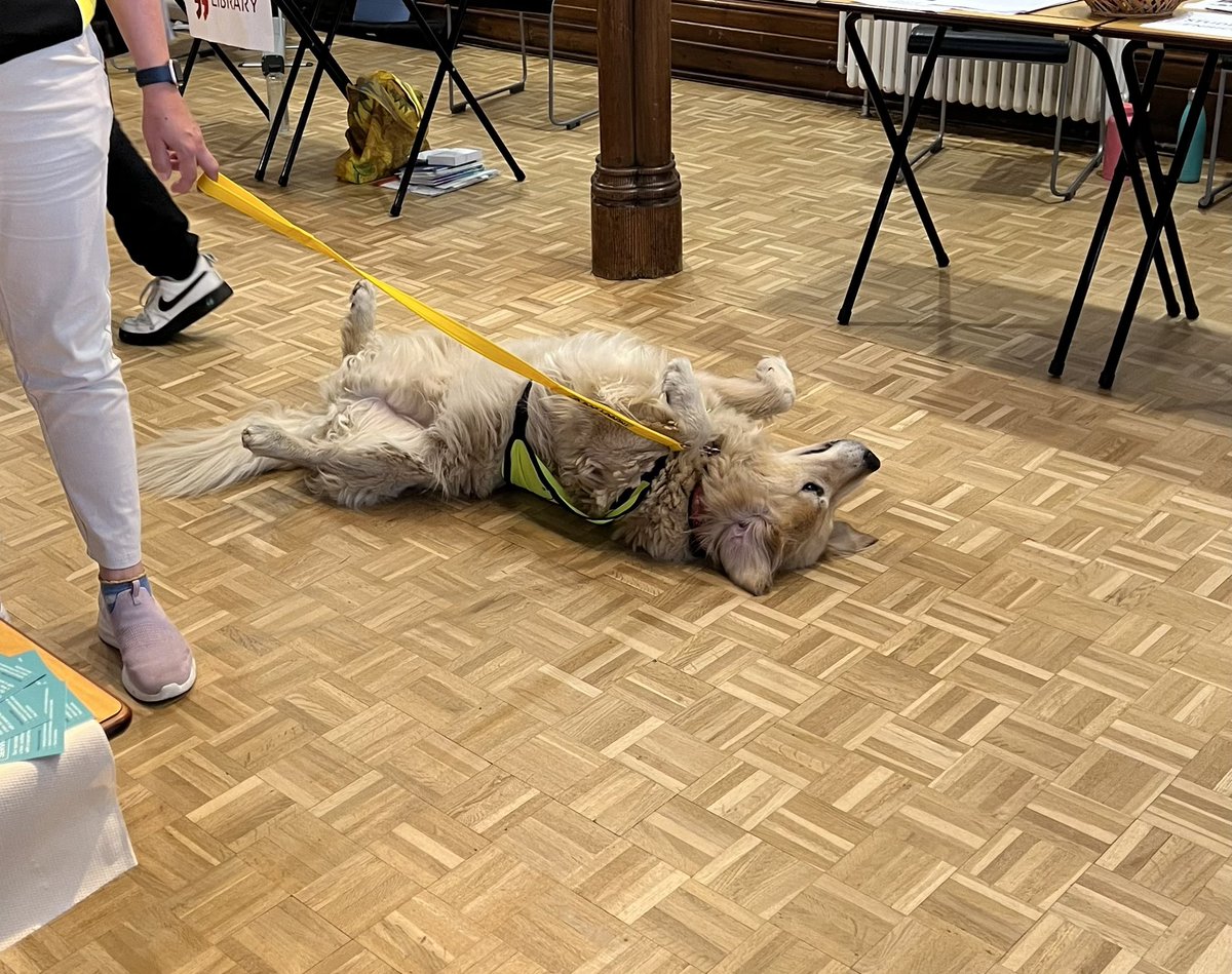 Look at this heckin #goodboi at <a href="/Highlands_JSY/">Highlands College</a> #freshers fayre!