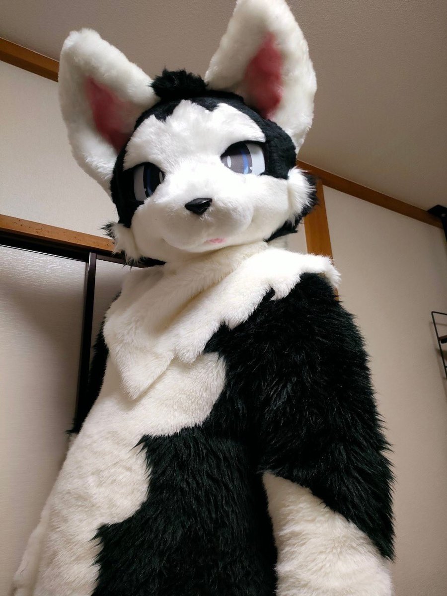 タツ狼 tweet media