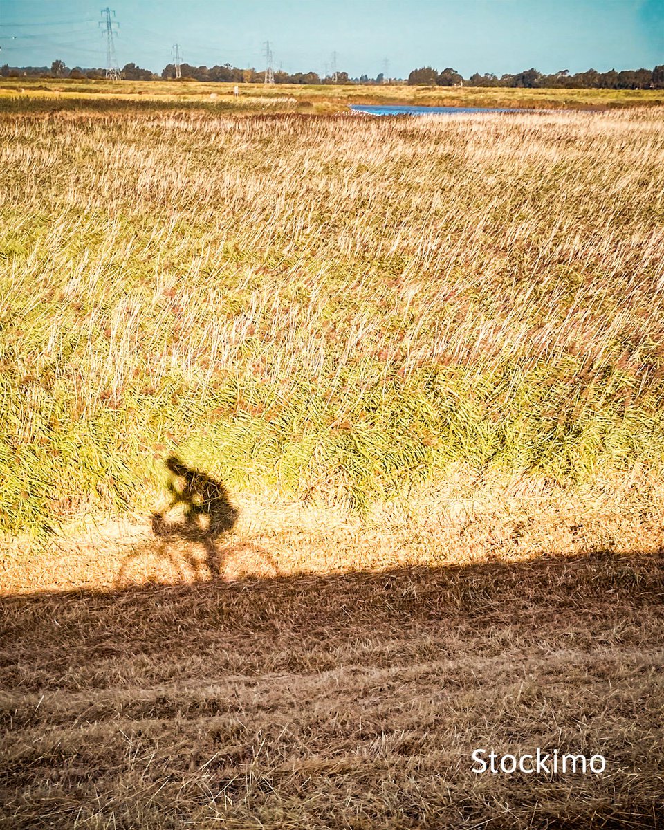stockimo's tweet image. Happy weekends everyone!

Now let's get out and enjoy the last of the fleeting sunshine while we still have it, big shout-outs to Jason Jones for these stunning shadow shots :)

Image ID(s): S46NYA &amp;amp; S46NY5

#Stockimo #Friyay #Cycling
