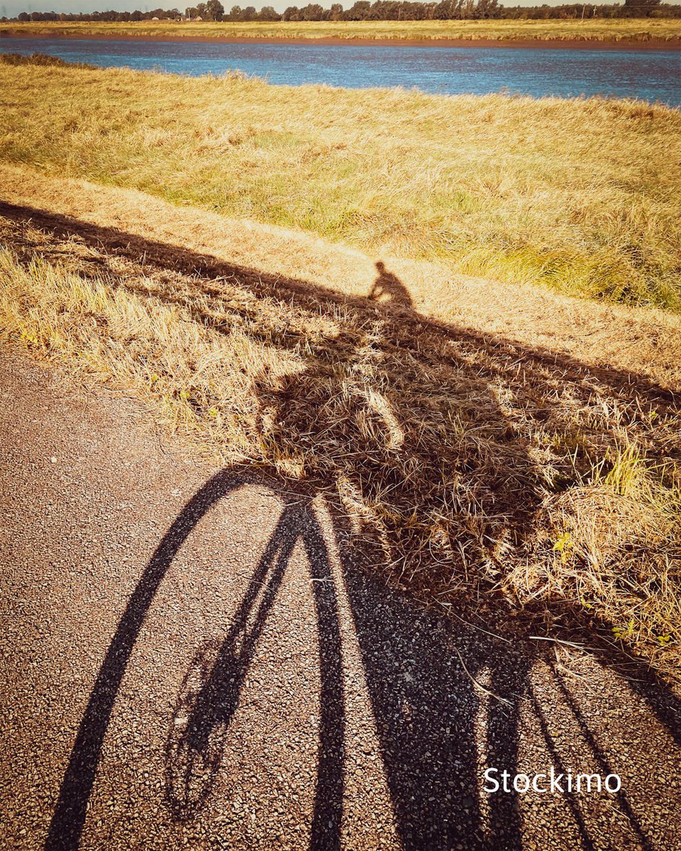 stockimo's tweet image. Happy weekends everyone!

Now let's get out and enjoy the last of the fleeting sunshine while we still have it, big shout-outs to Jason Jones for these stunning shadow shots :)

Image ID(s): S46NYA &amp;amp; S46NY5

#Stockimo #Friyay #Cycling