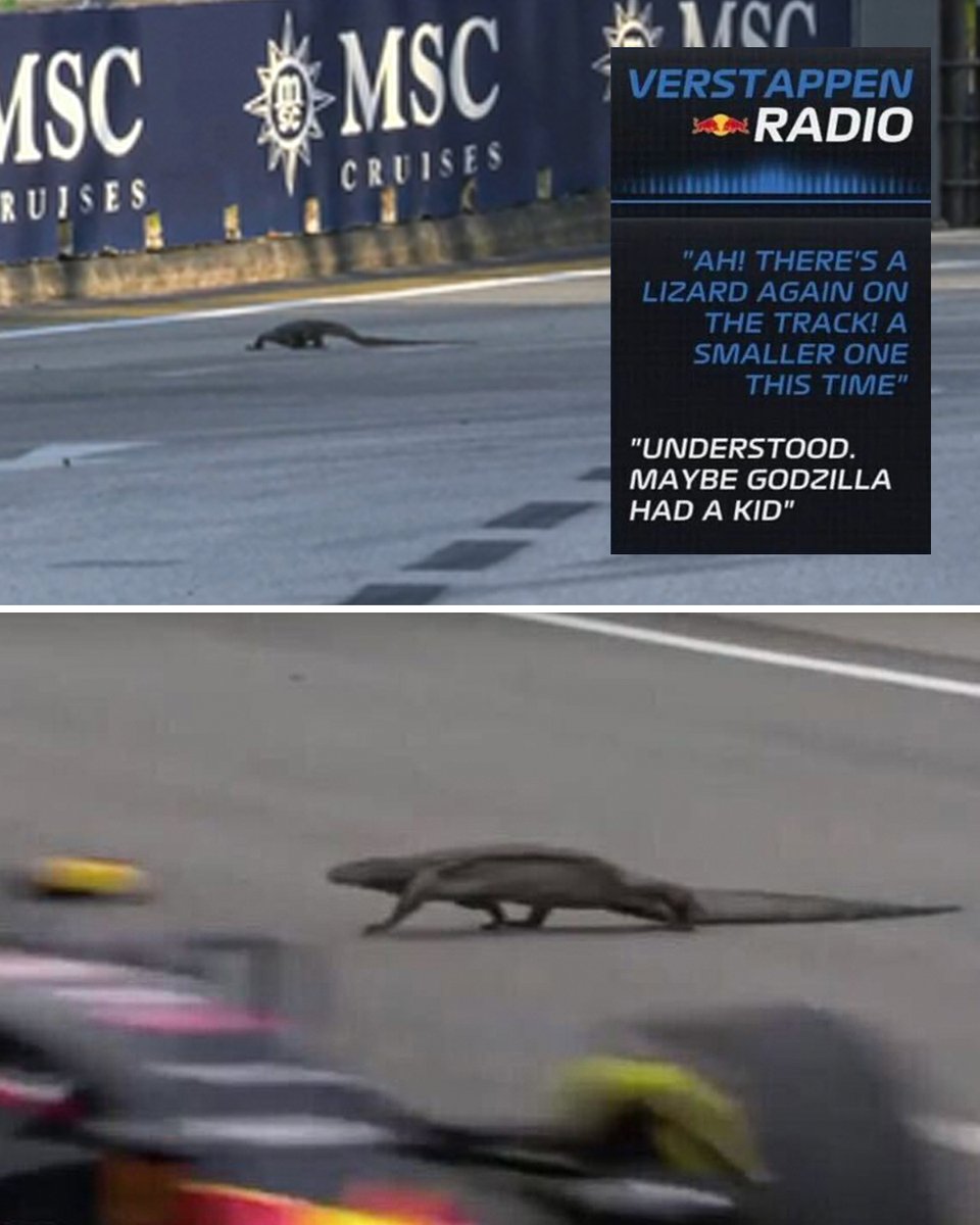 “Maybe Godzilla had a kid” 😅