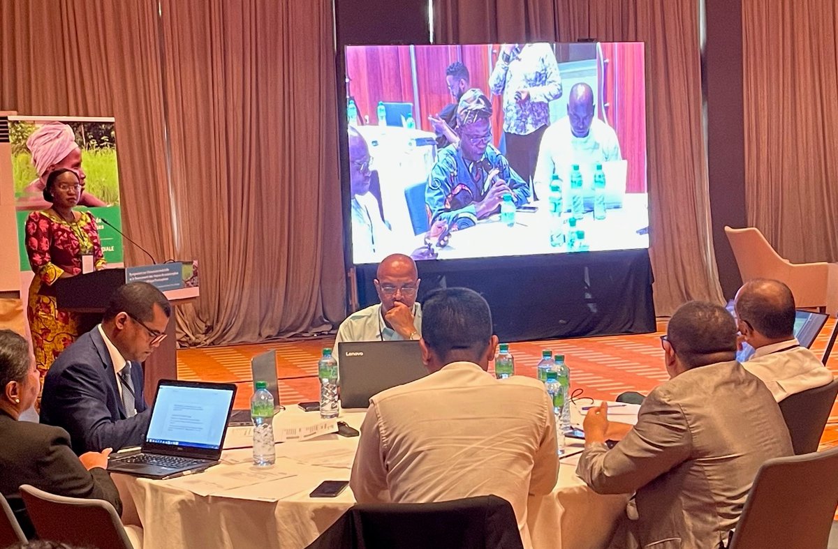 DougMPearce's tweet photo. Representatives from 14 countries at the World Bank Climate Finance Risk event here in Dakar discuss how to strengthen climate risk resilience and response through financing mechanisms and index insurance. Great to see such high levels of commitment and engagement @WBG_Finance https://t.co/v8xGaiSUG3