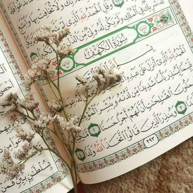 HQsm's tweet photo. قرَّ الله عيني وأعينكُم فِي يوم الجُمعة بما نُحب ونتمنى 

#جمعة_مباركة https://t.co/fzZceUt1XQ