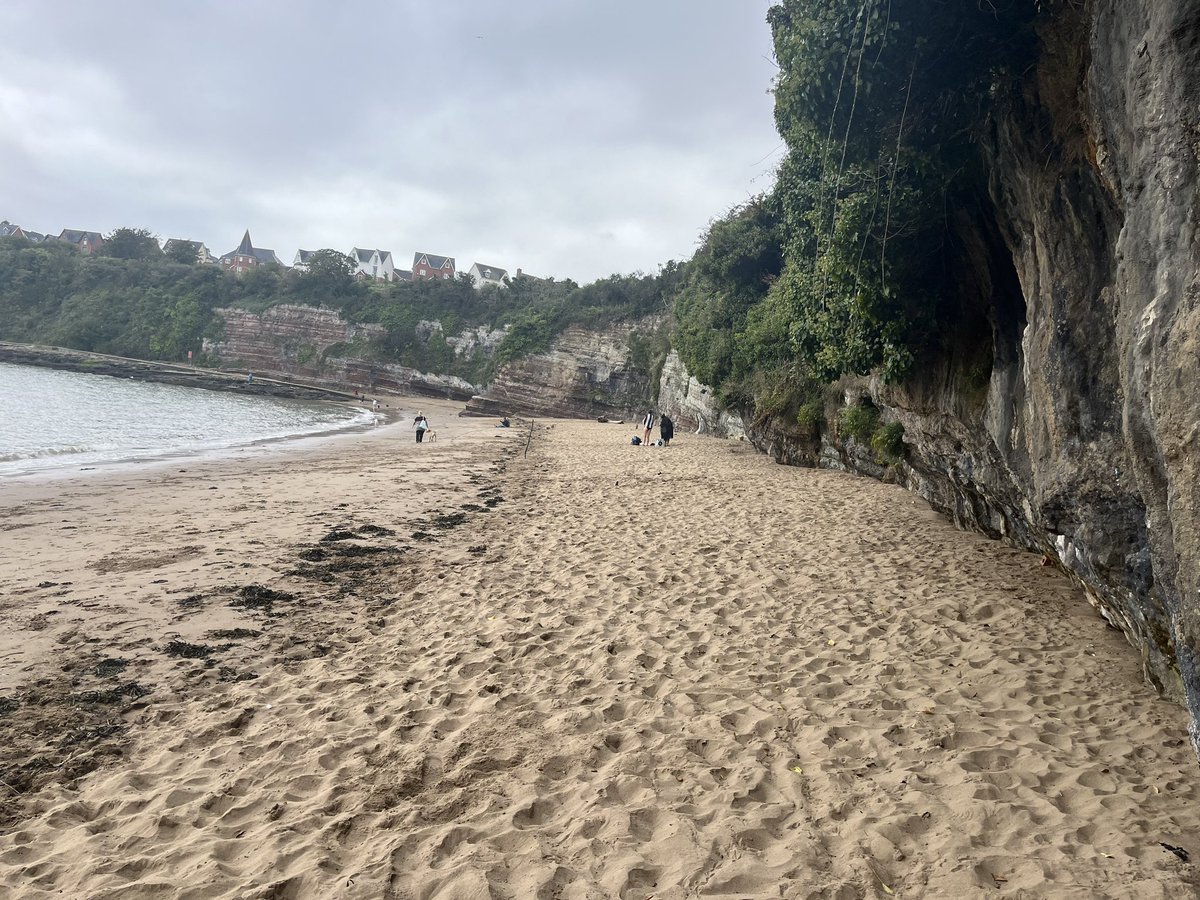 @MrYTeacherGuy tweet media