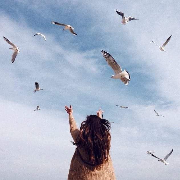 ‏عِٰـۛৣـرآقِٰـۛৣـيِٰـۛৣــــ🇮🇶ـــــة♥️🎼 . tweet media