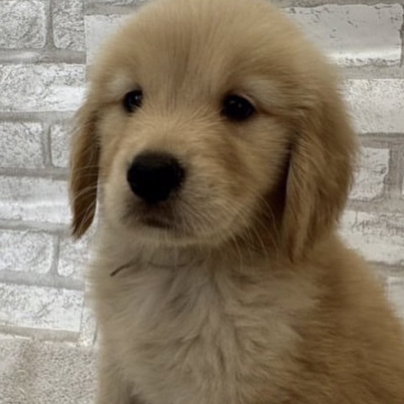 takemybear 🐶 tweet media