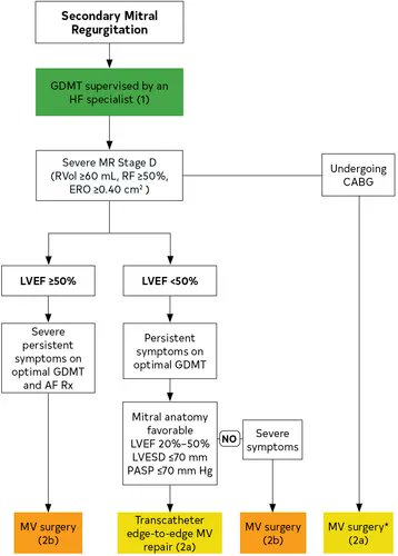 No PROCEDURAL interventions for 2°MR carry a class I recommendation, since there is "no proof that surgical correction...is effective in prolonging life."  TEER can be considered if symptoms persist despite GDMT w/ favorable MV anatomy OR if CABG is being performed (Class IIa).