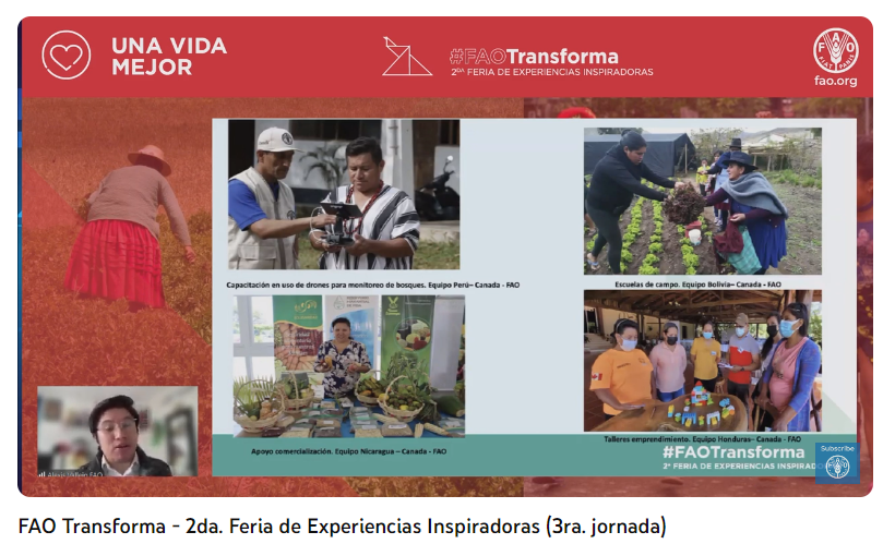 FAONicaragua's tweet photo. Otra experiencia innovadora en #FAOTransforma es el proyecto #RELEVA dirigido a más de 1⃣9⃣0⃣0⃣0⃣familias de Nicaragua, Bolivia, Perú y Honduras que mejoraron sus medios de vida ante los impactos del COVID-19 y los huracanes Eta e Iota, iniciativa apoyada por #Canada https://t.co/u94lZb9hSz