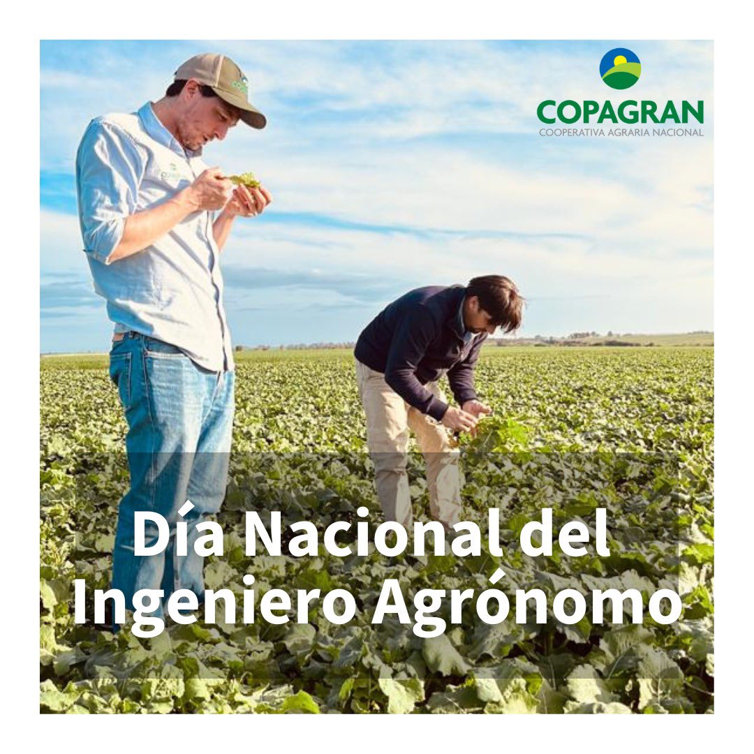 🌱Día Nacional del Ingeniero Agrónomo🌱

Desde #COPAGRAN queremos saludar a todas las personas que llevan adelante esta gran profesión; y especialmente, a los que forman parte de nuestra cooperativa.

¡Gracias por su dedicación y esfuerzos por desarrollar un mejor futuro! 
💛💙💚