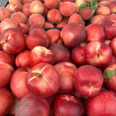 ExploreMurrieta's tweet photo. Dive into a farm-tastic adventure, Murrieta! 🍅🥕 Step into the world of Murrieta's farmers' markets – The farmer’s market happens every Sunday, from 9am - 1pm at the Village Walk Plaza, right off of Kalmia/Cal Oaks.
https://t.co/kQEH09PIyp
📸: Murrieta Certified Farmers' Market https://t.co/jhoV005w6e