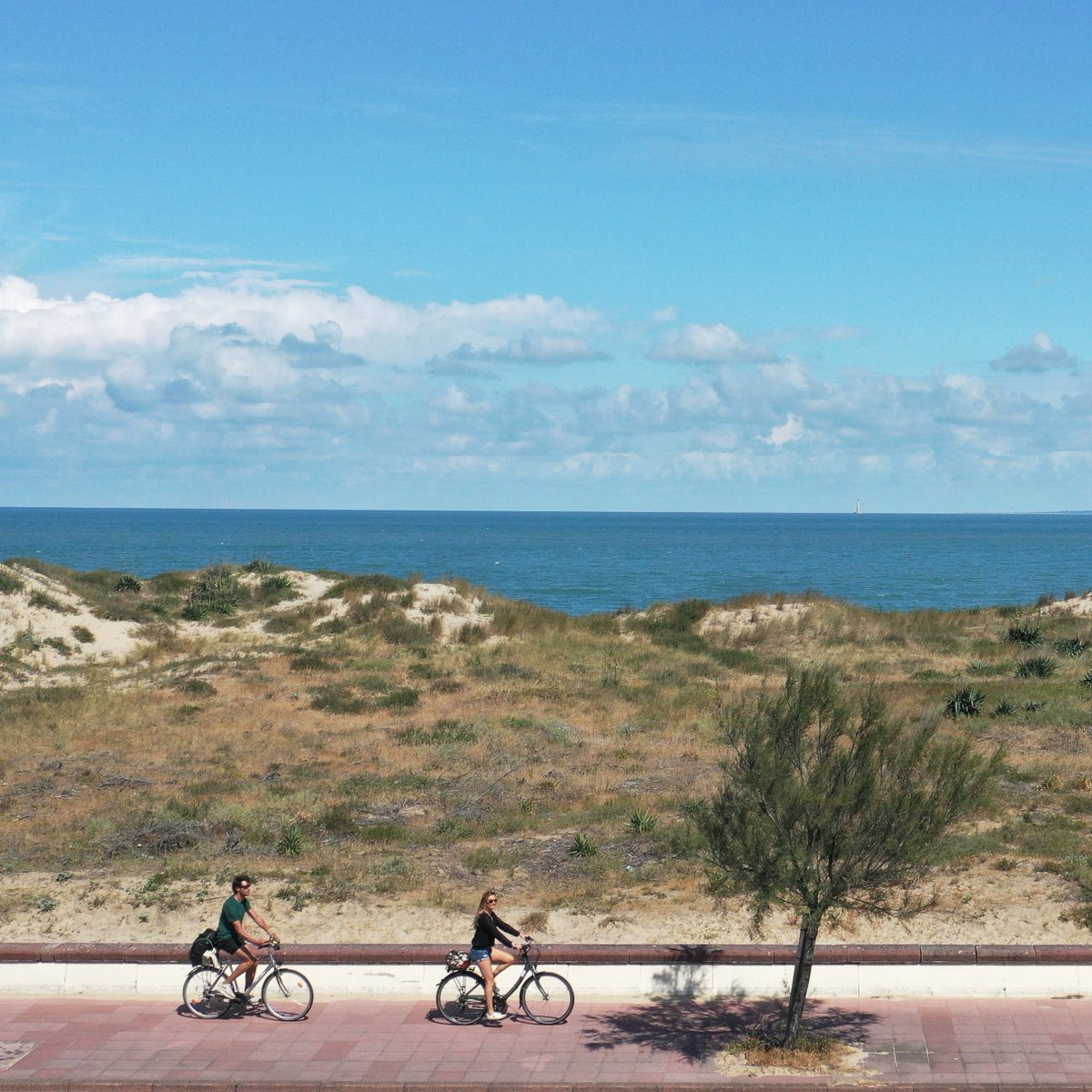 Prenez votre vélo, La Vélodyssée vous attend 🚴‍♂️ Laissez votre voiture à la Pointe de Grave et c'est parti pour traverser la pointe Médoc jusqu'à Lacanau 🌊  🌲 Entre dunes, forêts de pins et lacs, chaque kilomètre parcouru est une merveille 🥰 📸 1 duvet pour 2 <a href="/medocatlantique/">Office de Tourisme Médoc Atlantique</a>