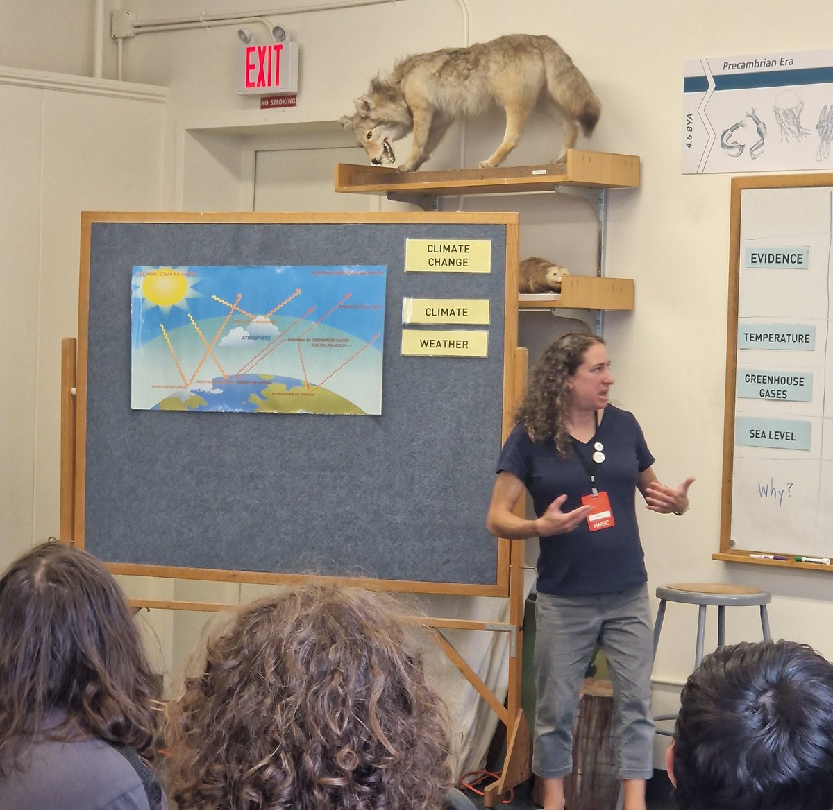 Meeting the box turtles in the fascinating #Climate modelling session at <a href="/HarvardUniv/">Harvard University</a> <a href="/HarvardMuseum/">Harvard Museum</a> <a href="/BCAWarrington/">Beamont Collegiate Academy</a> #STEM