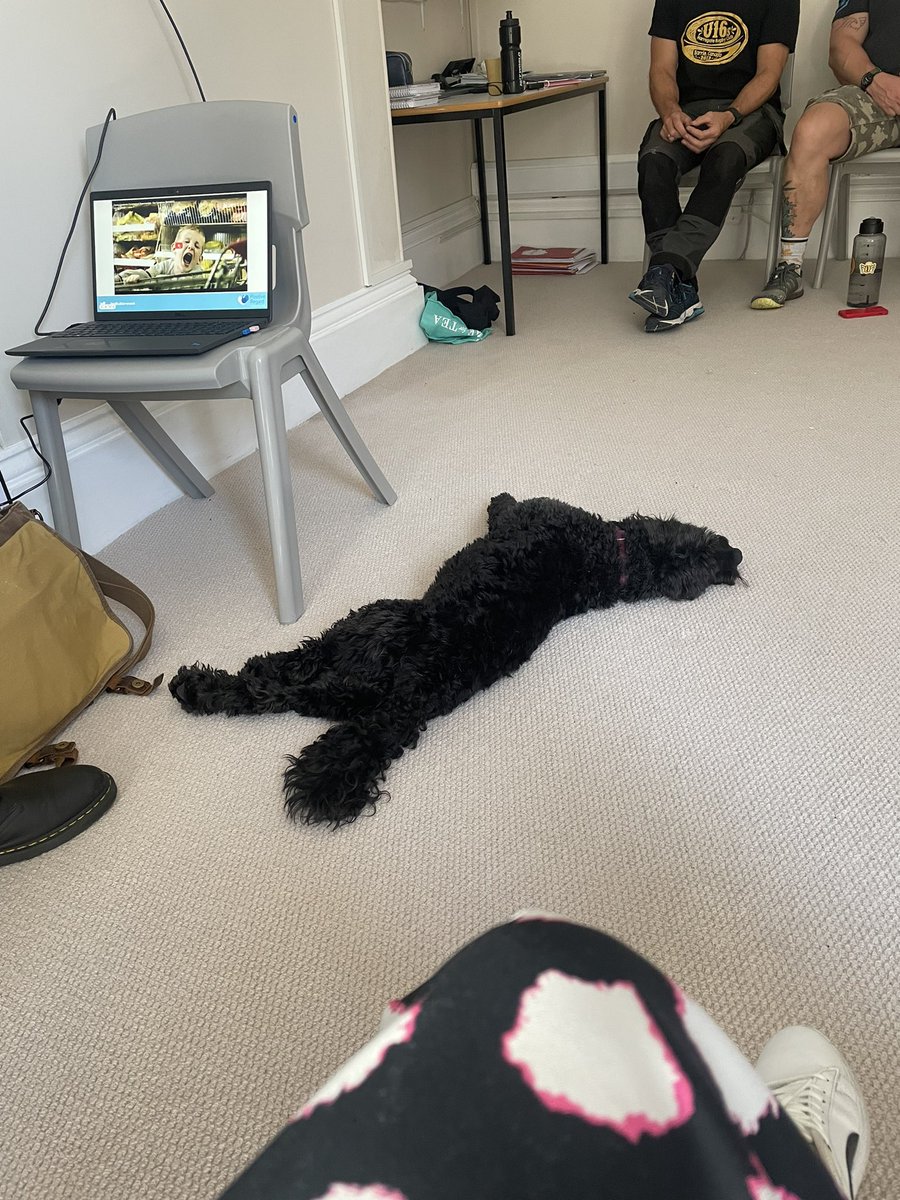 EducationStrive's tweet photo. This week we completed our @PosRegard training from @Springwell_Lds Thank you @JimButterwood an excellent trainer, good to share best practice, advice and learning for our team ๐#teamstrive #educationmatters #stafftraining #InvestInYourTeam #harrogate #schooldog #StriveBetty https://t.co/CWuta8Co0c