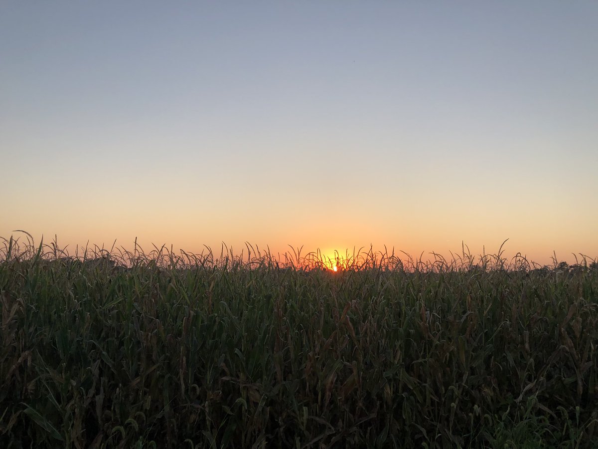 ViewFromFarm's tweet image. Welcome to the account for the View From The Farm podcast. Talking about anything that’s important to farmers and ranchers. Check it out at the link in the bio or on Apple or Spotify podcasts.