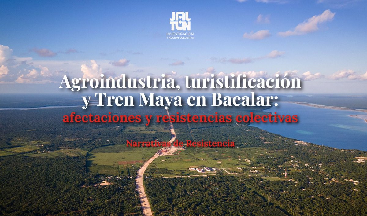 En 20 años #Bacalar perdió 130 mil has de selva y se convirtió en el municipio más deforestado de Quintana Roo. Conoce las causas en la tercera entrega de @JaltúnMX 

Lee y comparte.
jaltun.mx/bacalar/

<a href="/CCMSSAC/">Consejo Civil Mexicano para la Silvicultura</a>

#Bacalar #TrenMaya #Agroindustria