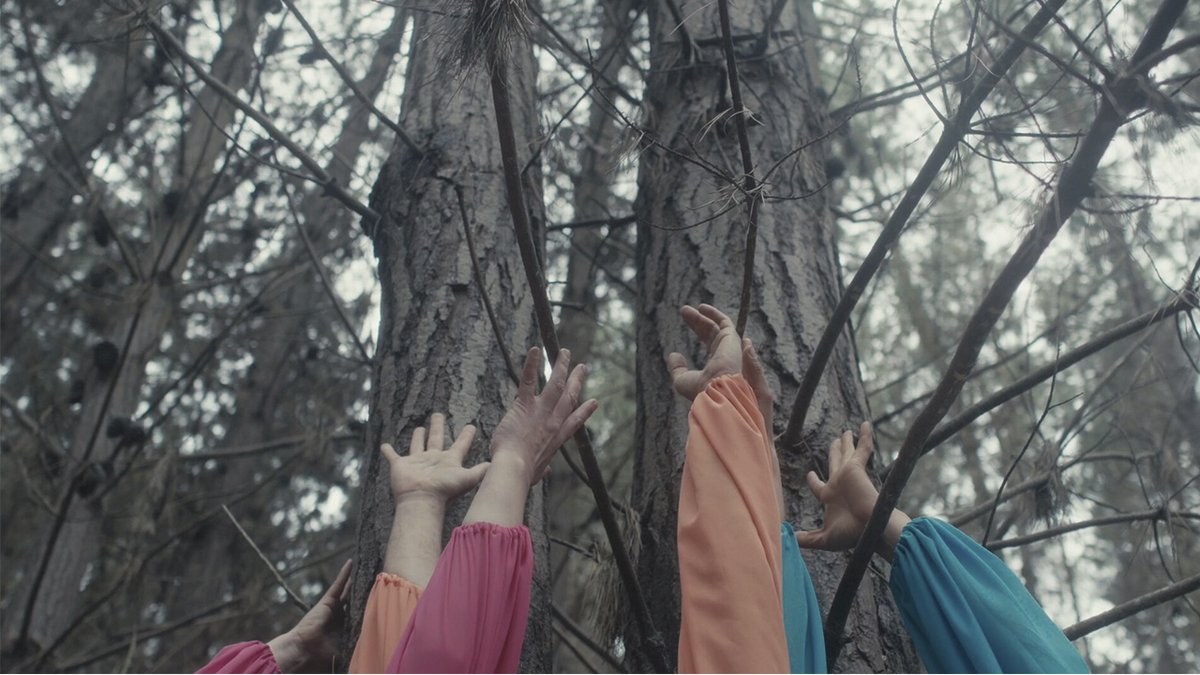 FestVDBA's tweet image. ¿Qué estás pensando hacer el Sábado? Mirá el Programa 1, Puertas Adentro, de la Competencia Oficial que tenemos para vos. 6 videodanzas breves para ver inspiradas por la pandemia como hito disruptivo: reclusión, cuerpo e intimidad. En @elculturalsm a partir de las 16hs, gratis.