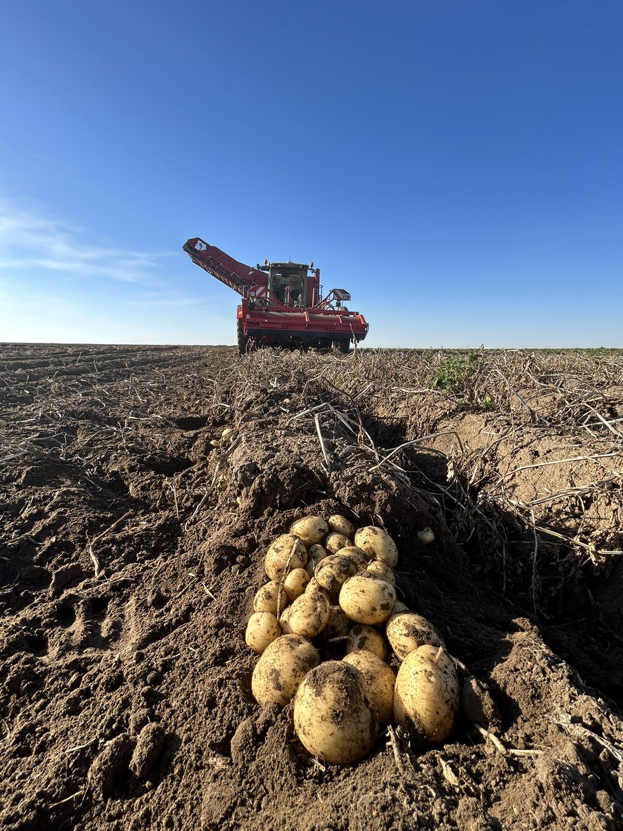 Tim Halsema tweet media