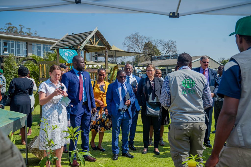 ADRAZimbabwe's tweet photo. #AboutLastFriday 
Thank yous to all our friends, stakeholders, and partners are never going to be enough to express our gratitude for the time we had together 💚.

#ADRAat40 #plantafruittree https://t.co/dPNJvti9RE